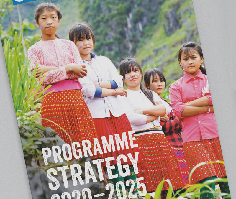 Programme Strategy