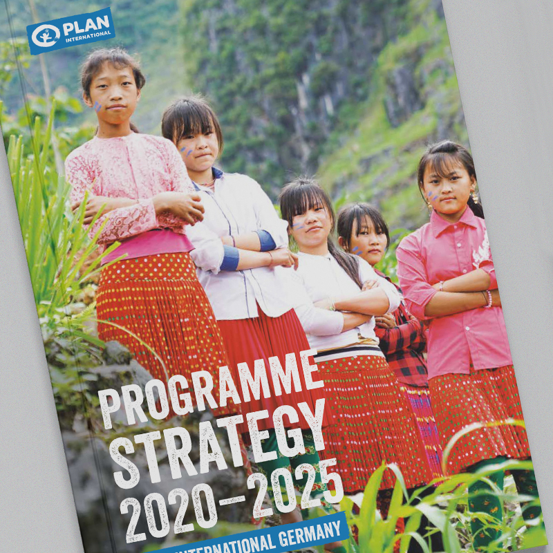 Programme Strategy